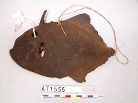 藏品(魚皮掛飾)的圖片